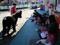 写真：リトルホース