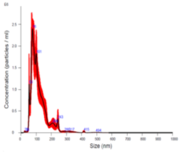 粒度分布のグラフ