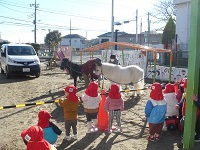 1歳児りす組が少し遠めから、リトルホースを見ている写真