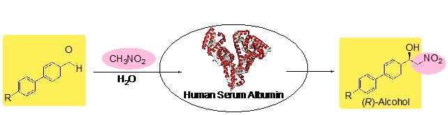 アルブミンを用いる不斉C−C結合反応のイメージ図