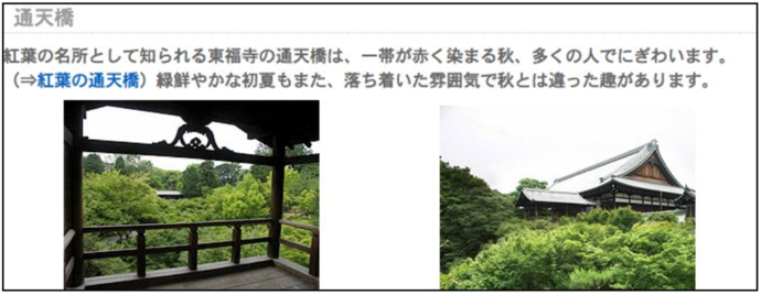 写真:Web閲覧支援