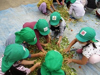 5歳児クラスが肥料をまぜている写真です。