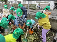 5歳児が野菜くずとぼかし肥料を畑に混ぜている写真です。