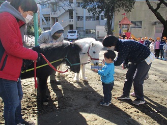 リトルホースと触れ合う2歳児うさぎ組の子どもたちの様子の写真