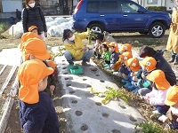 3歳児こあら組がせせらぎ農園の畑を見学する写真