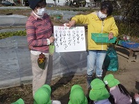 4歳児ぞう組が七草の名前のボードを見ている写真