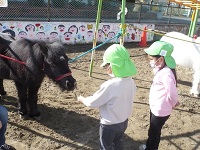 4歳児ぞう組がリトルホースに餌をあげている写真