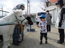 写真：リトルホース