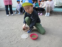 写真：リトルホース