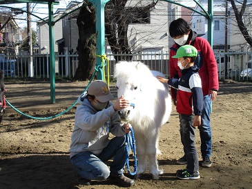 5歳児らいおん組リトルホースふれあい体験の様子の写真