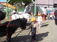 3歳児こあら組が餌をあげている写真