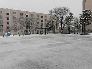 写真：園庭の雪景色