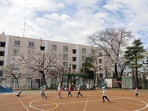 写真：園庭の桜の木の様子