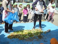 手分けして野菜にぼかしをかけている写真