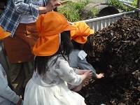 4歳児ぞう組が発酵土に触れている写真