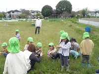 5歳児らいおん組がせせらぎ農園で春の自然にふれている写真