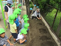 畑の前に5歳児ぞう組の子どもたちが並んでいるでいる写真