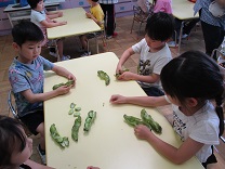 写真：野菜のさやむき