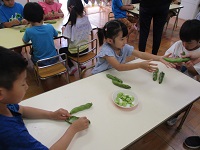 5歳児ぞう組の子どもたちがそら豆の皮むきをしている写真