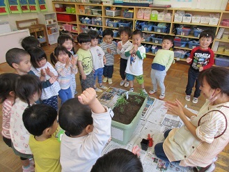 3歳児苗植え様子の写真