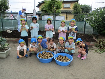 写真：ジャガイモ掘り