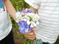 5歳児らいおん組がせせらぎ農園で摘んだ花で作った花束の写真