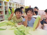5歳ぞう組の子どもたちがトウモロコシの皮むきをしている写真