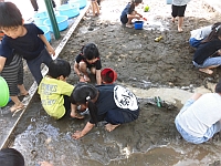 写真：泥んこ遊びを楽しむ5歳児