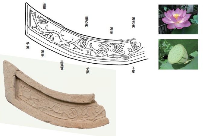 蓮華唐草文模式図と写真、蓮の花の写真