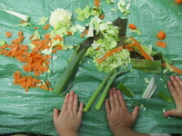 野菜のくずの写真