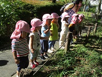 池の鴨を見る子供の写真