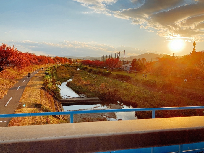 写真：『学校帰り』