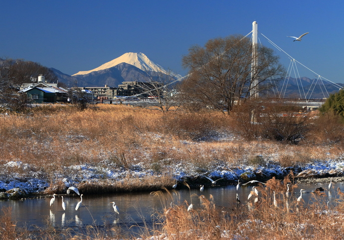 写真：『冬のあさ川情景』