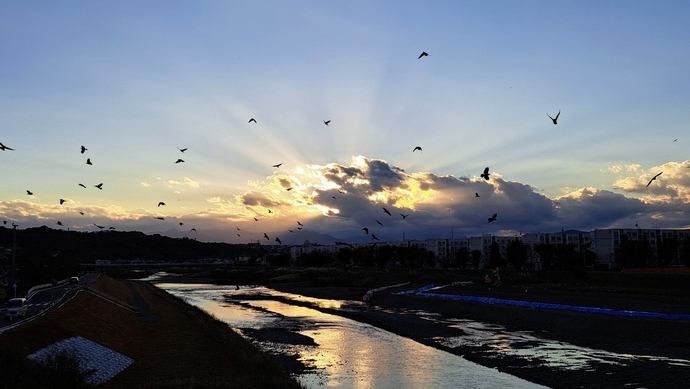 写真：『光芒と鳥の群れ』