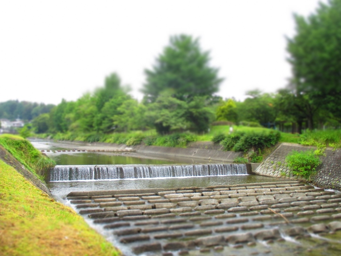 写真：魚が見た川の景色