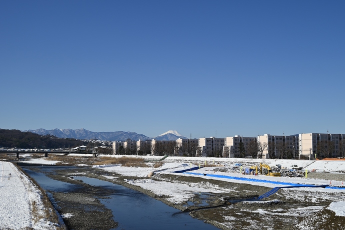 写真：雪化粧