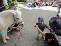 0歳児りす組の子どもがエサをあげている写真