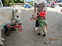 1歳児うさぎ組の子どもがエサをあげている写真