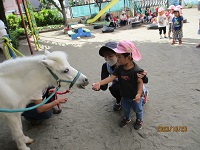 2歳児うさぎ組の子どもがエサをあげている写真