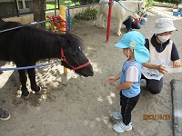 3歳児らいおん組の子どもがエサをあげている写真