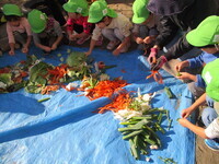 野菜の皮やへたなどが沢山並んでいる写真