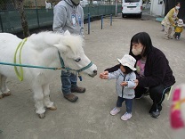 リトルホースに餌をあげる0歳児の写真