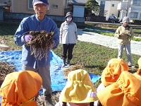 4歳児ぞう組がせせらぎ農園の方から里芋の話を聞いている写真