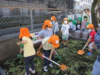 4歳児がぼかし肥料を混ぜた野菜を畑に入れて混ぜている写真です。