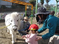 2歳児うさぎ組がリトルホースに餌をあげている写真