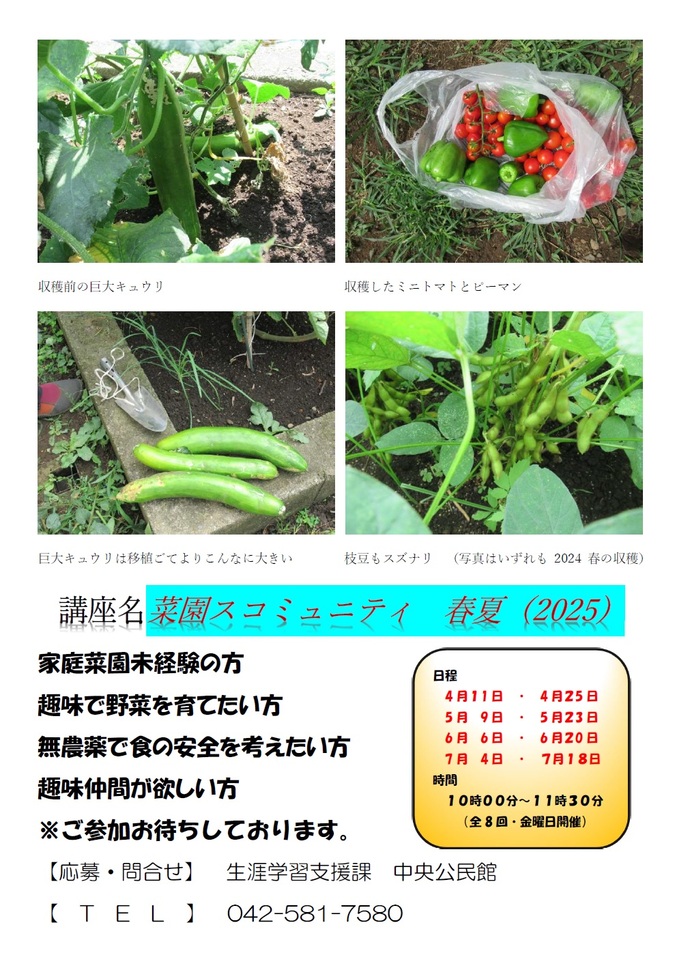 家庭菜園での収穫