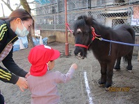 1歳児がリトルホースに餌をあげている写真です。