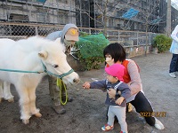 0歳児がリトルホースに餌をあげている写真です。