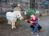 2歳児がリトルホースに餌をあげている写真です。