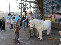 5歳児がリトルホースに餌をあげているしゃしんです。